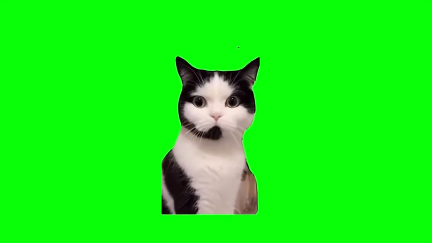 【转载切分P】稀有猫meme绿幕GB素材（自选）-8.电话猫