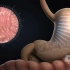 肠镜胃镜检查胶囊机器人医学功能展示动画-三维动画展示设计公司