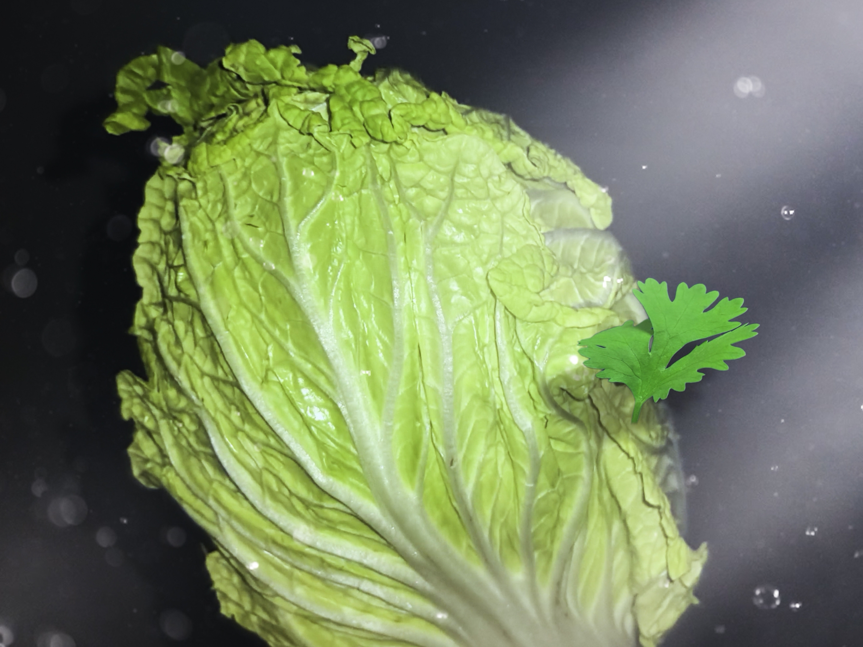 庄 方 宜 本 体