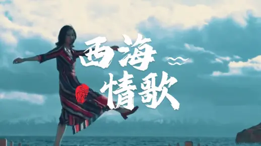 《西海情歌》口琴版