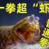 《一拳超虾 ONEPUNCH-SHRIMP》