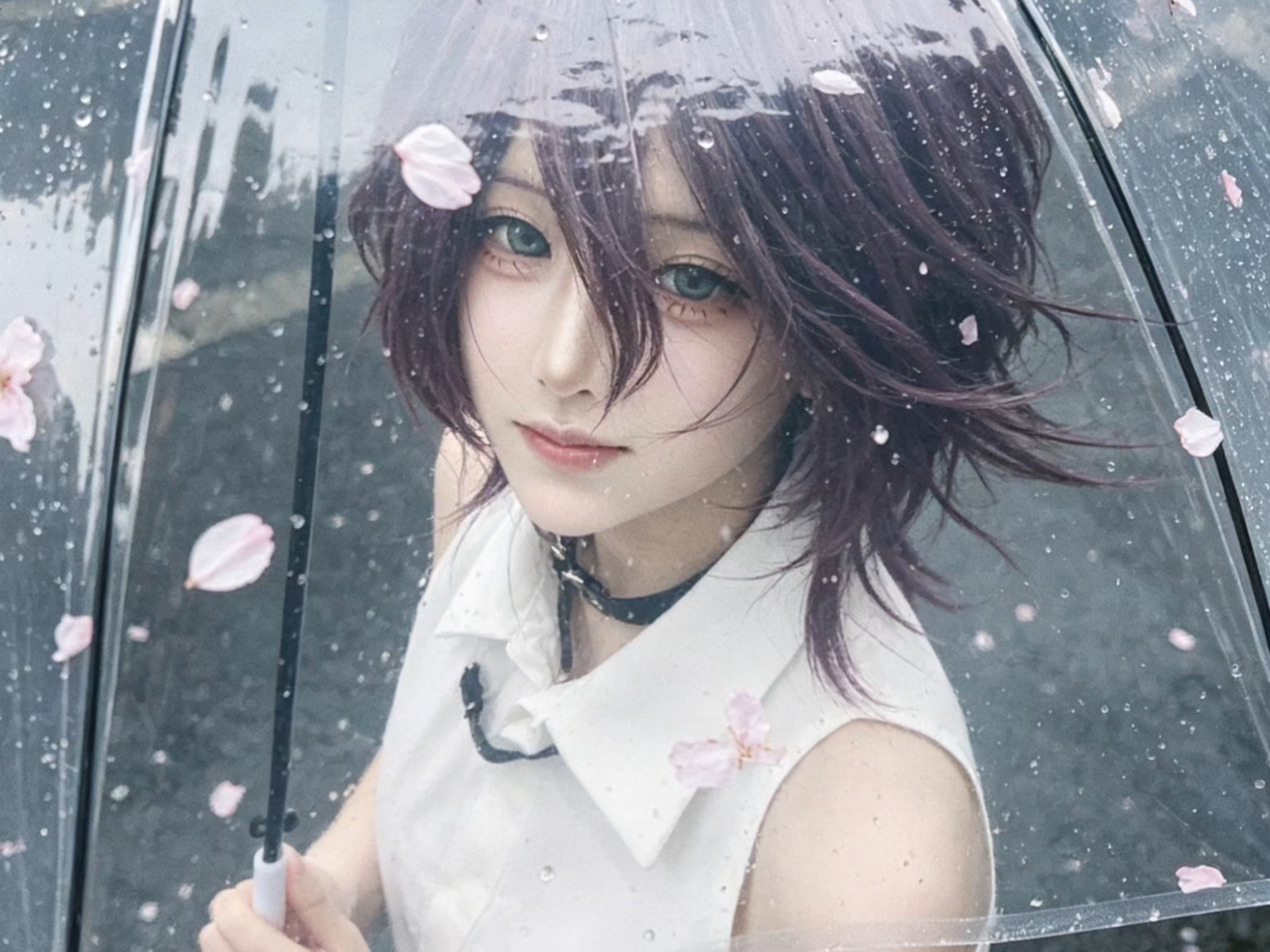 樱花雨
