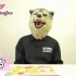 【MAN WITH A MISSION】「肉食Channel」特別映像