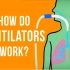 呼吸机是如何工作的？How do ventilators work？ | TED-Ed