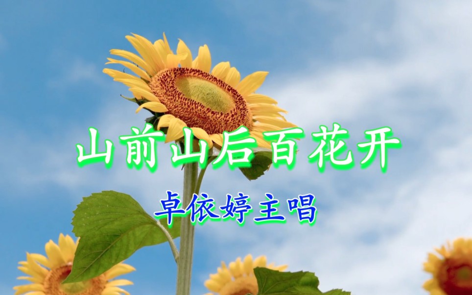 Eva Chok - Hundreds of Flowers Blossom in Front of and Behind the Mountain (Zhenghong Records/CD track demo)
