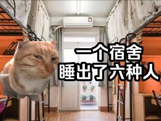 【猫meme】一个宿舍睡出了六种人（下集）