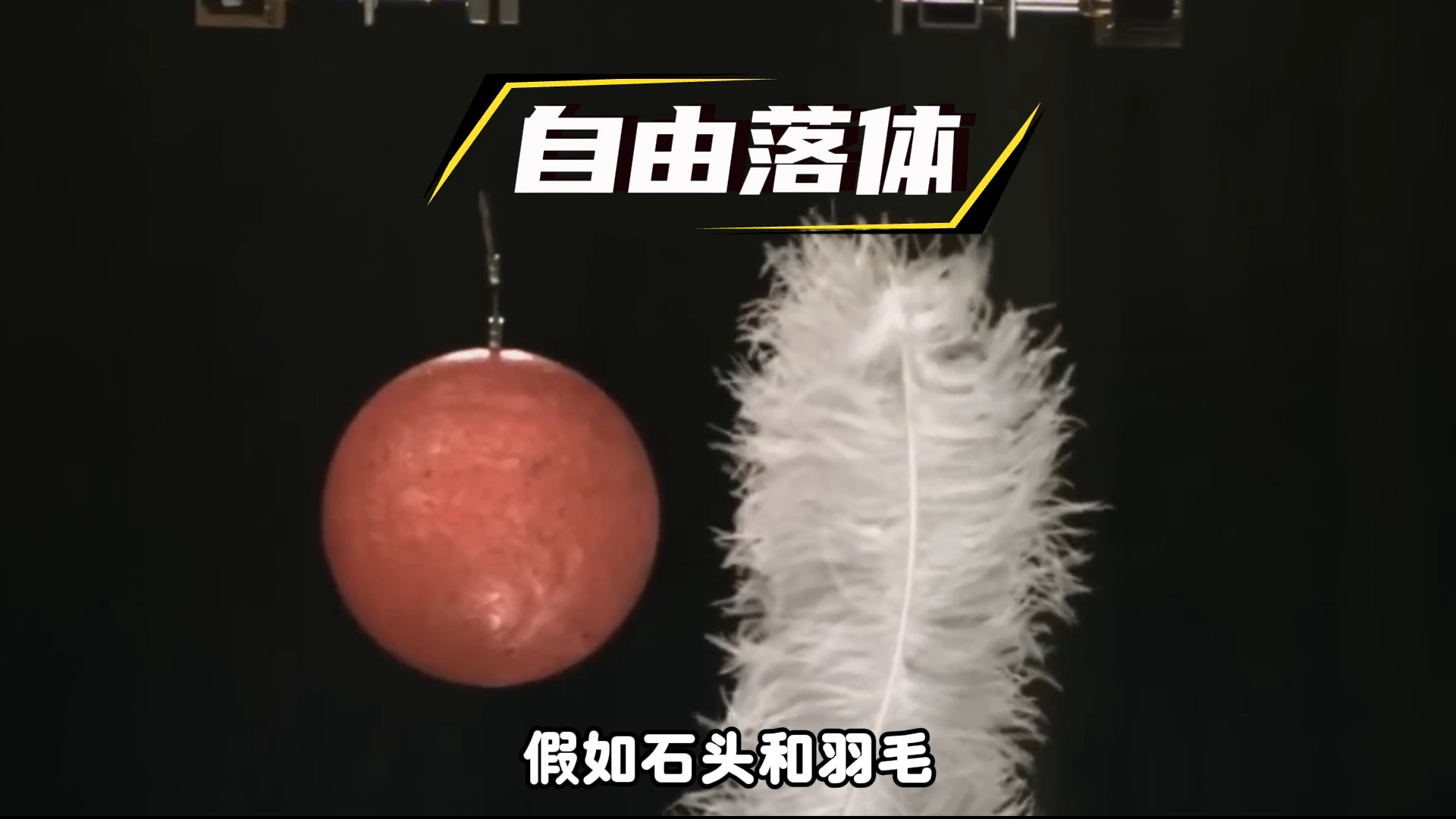 羽毛VS石头，谁先落地？答案颠覆2000年认知！