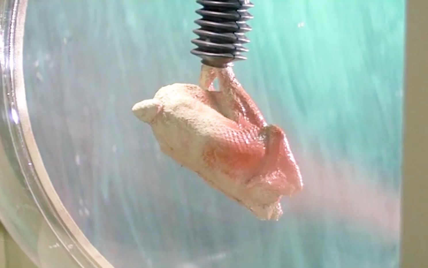 这是什么海克斯科技，只需一个鸡骨头，就能造出一只烤鸡