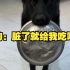 饺子掉地上给狗吃 这次误会整大了