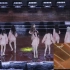 【4K】斯坦尼康在女团演唱会Live中的实际应用示例