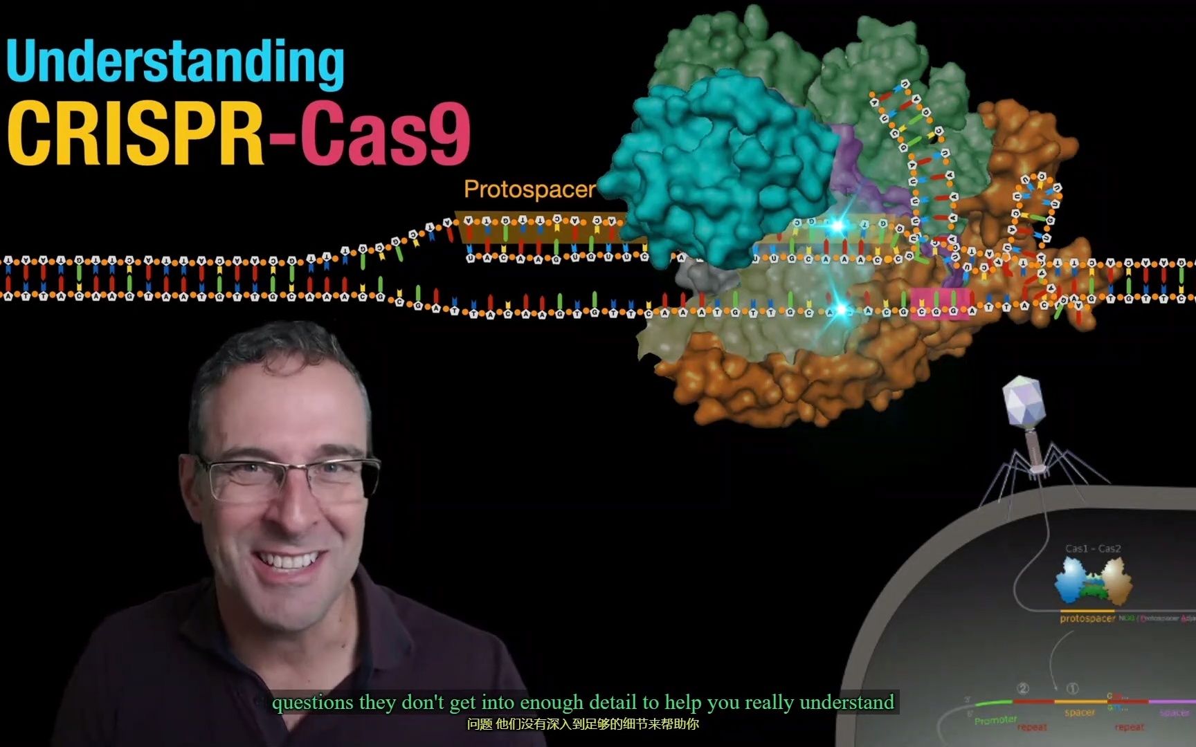 一听了然的crispr/cas9介绍