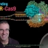 一听了然的CRISPR/Cas9介绍