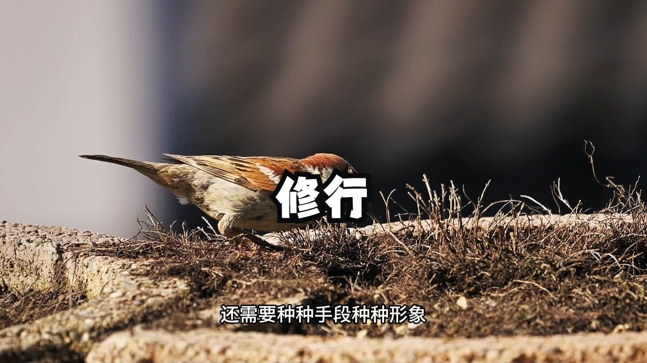 怎样在日常的生活中，随时进入修行的状态呢？一个方法，帮你真正的将修行和生活融合