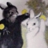 【睡前故事】黑兔与白兔