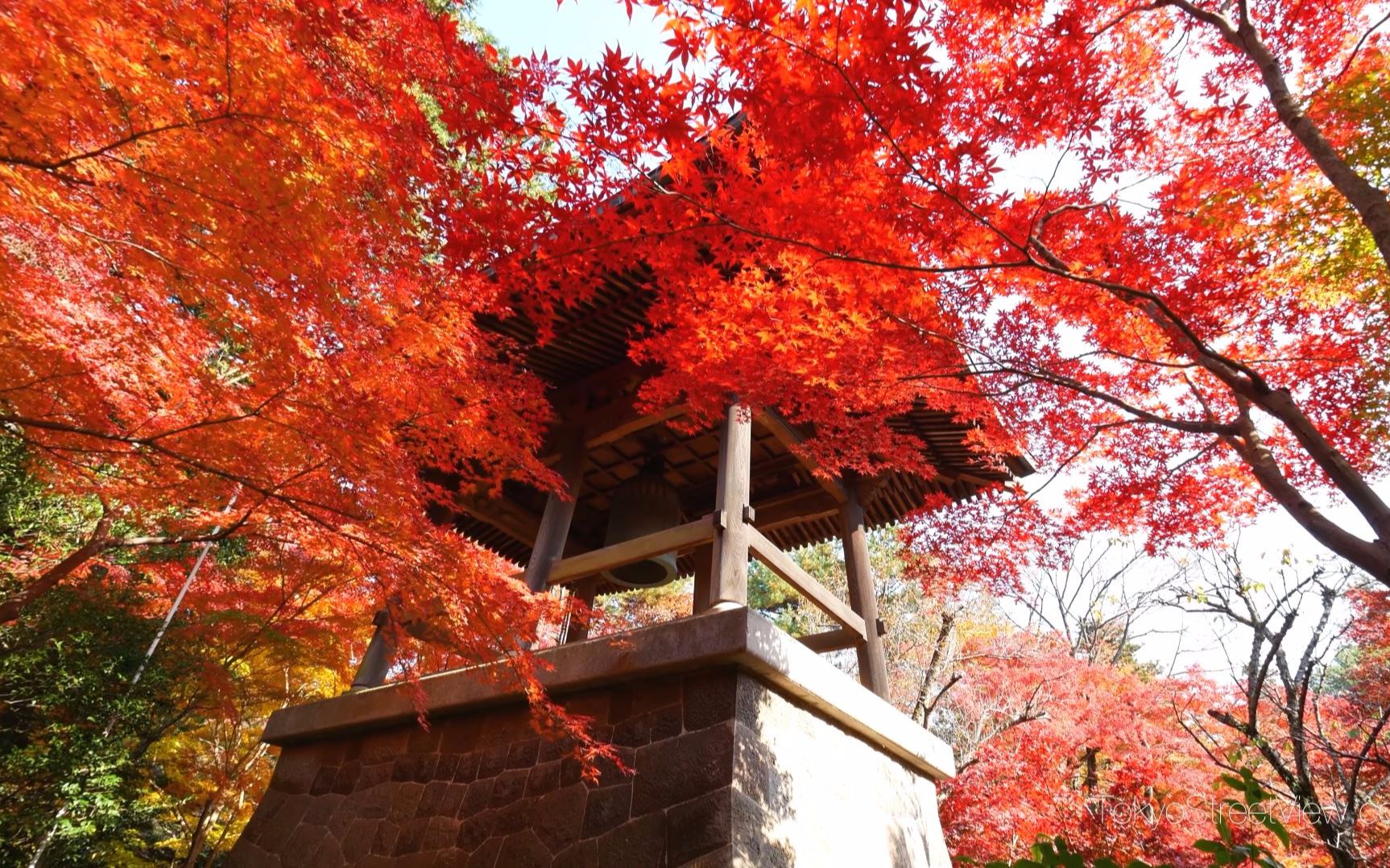 超清日本 埼玉県 平林寺的红叶 Tokyostreetview 哔哩哔哩 つロ干杯 Bilibili