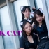 【夏之幽 x mochi x 无常】Pink cat粉猫 三人初合作 文艺复兴 七夕快乐！ 【sumaRUAchi】
