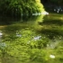 [自然声音和4K视频]治愈自然环境声音_地下水泉水声音1小时