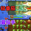 pvz2：第一次玩双赢的我，遇到对面也玩双赢_植物大战僵尸2