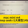 mac mini m4运行deep seek r1的14b大模型