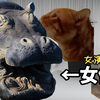 【熟肉】在南桐片制作公司打工的日常（女演员篇） | 猫meme