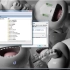 Windows Vista 巧设键值使启动Vista电脑后显示上次进入系统的登录时间_1080p(8362052)