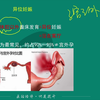 2023年中医妇科学高频串讲（3）-潇婷