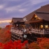 「京都的秋」庭院碧苔红叶遍、粉塘烟水澄如练。