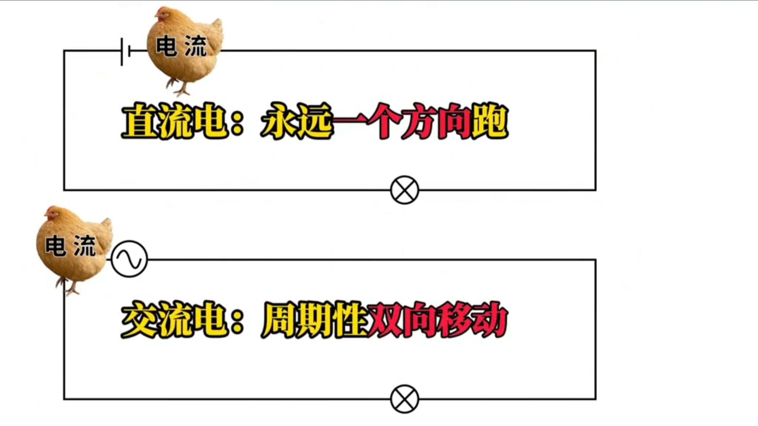 上课没记住的电路都在视频里学会了