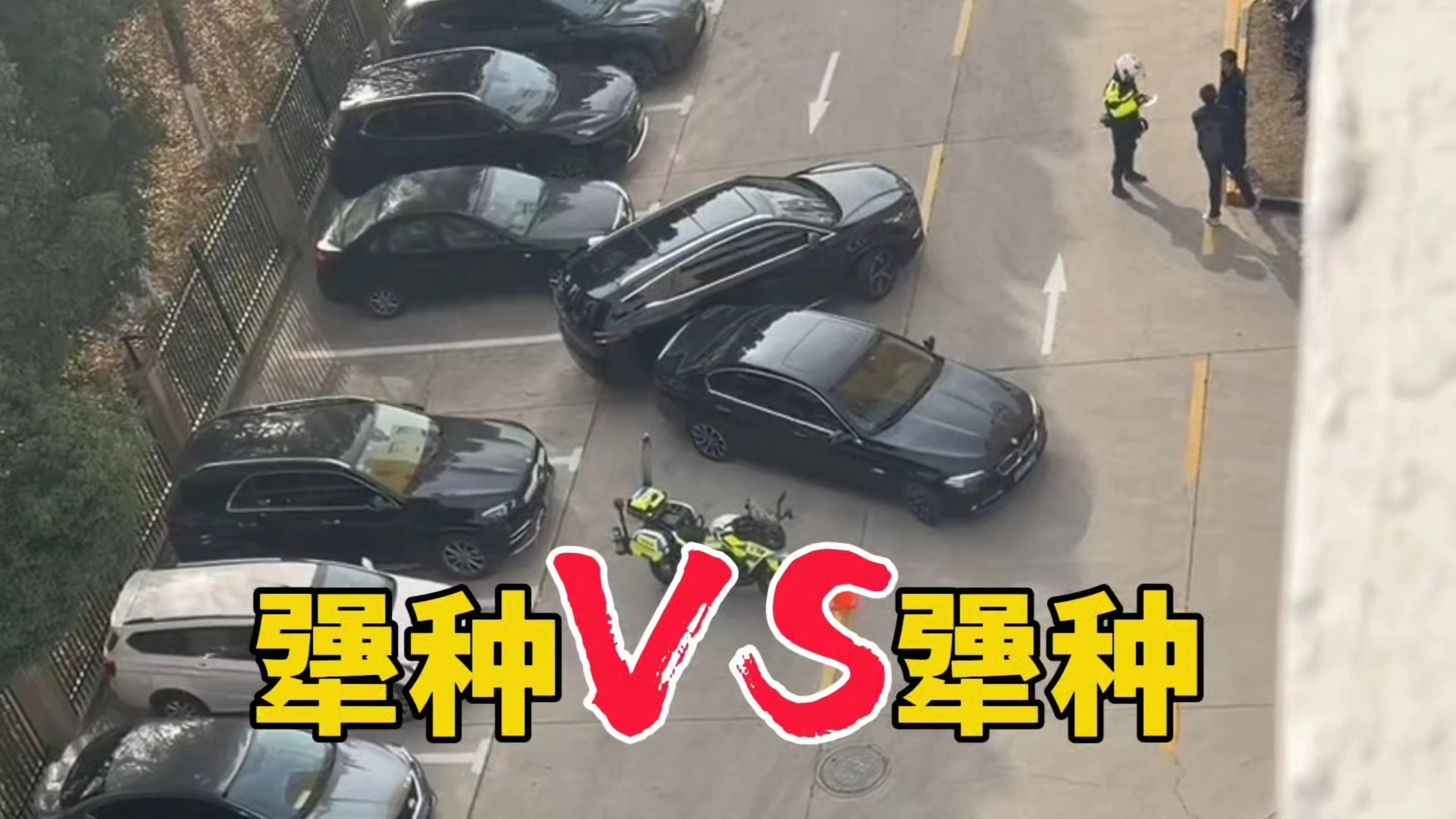 犟种VS犟种，好一对卧龙凤雏！
