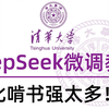 手把手教你学会DeepSeek R1模型Lora微调训练，环境配置+模型微调+模型部署+效果展示详细教程！保姆级教程，全程干货无废话，比啃书强太多