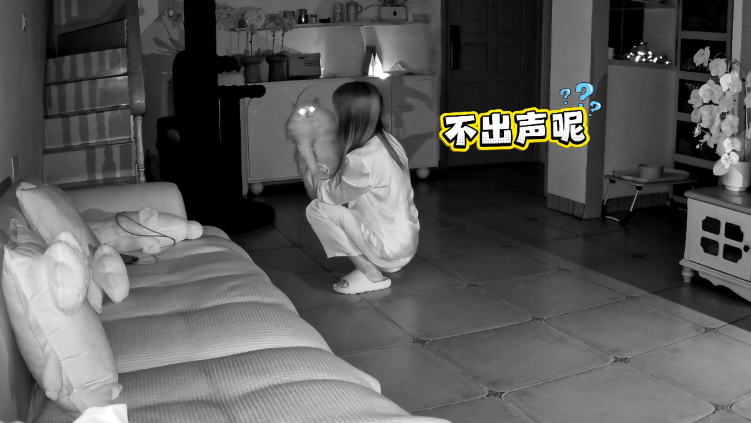 大半夜找不到猫，结果万万没想到…
