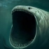 知识分享1  大白鲨