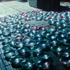 姐姐惨死围棋高手魔掌之中，弟弟历经磨难终成棋神，一招击败仇敌