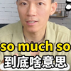 so much so到底啥意思