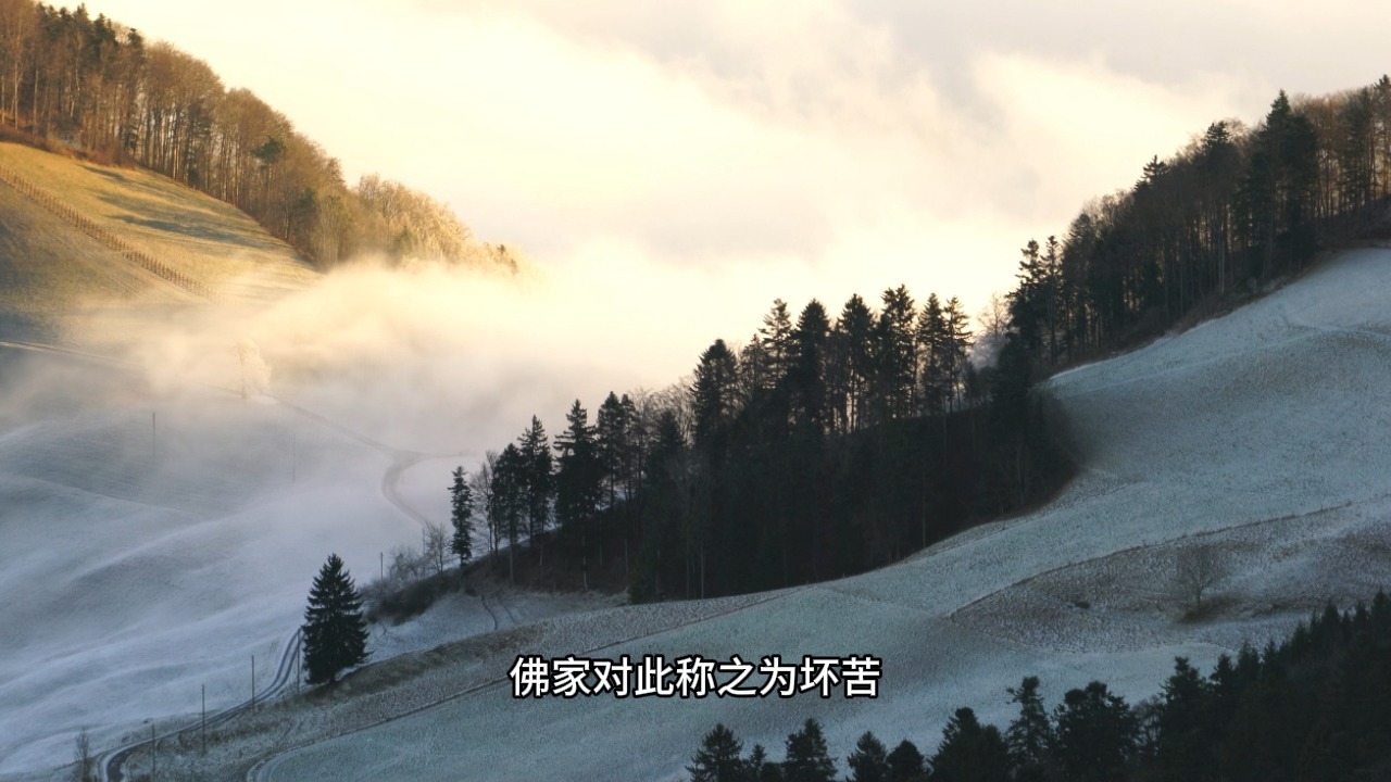 如何照见五蕴皆空，自度一切苦厄？一个视频帮你彻底弄懂佛家的顶级智慧！