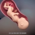 医维度3D人体解剖九大系统之生殖系统