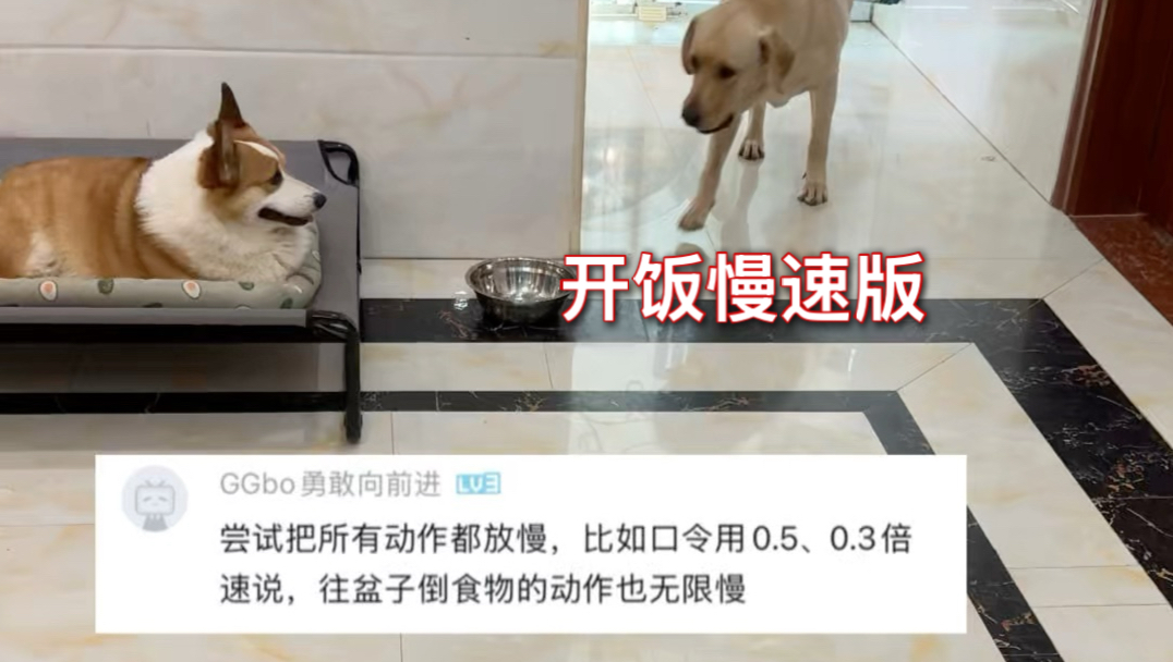 开饭慢速版