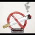 【动画科普】吸烟是如何伤害我们身体的