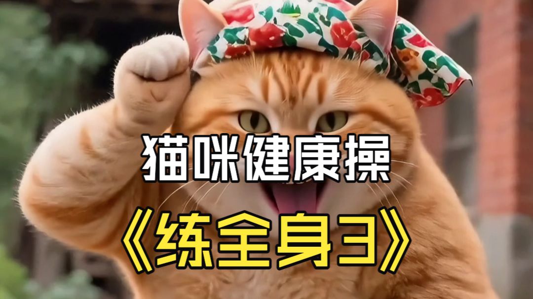 猫咪健康操，轻松练全身3.0版本