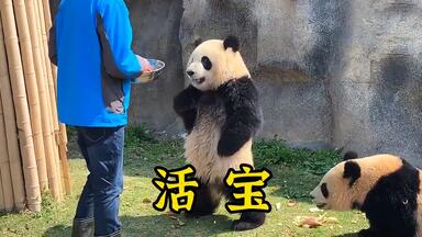 《<em class="keyword">活宝</em>》