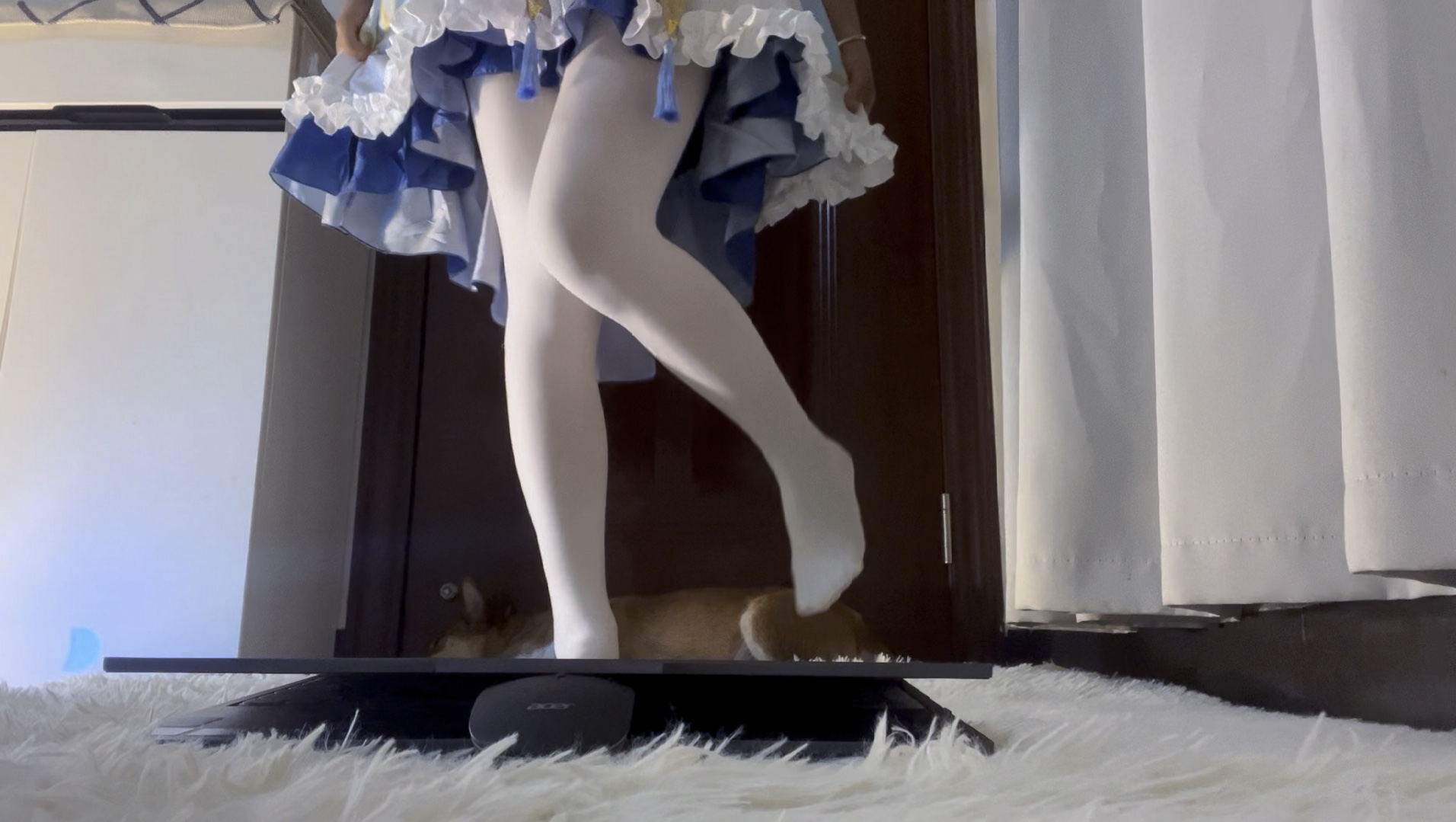 There's still Nellie's dog in 2024.