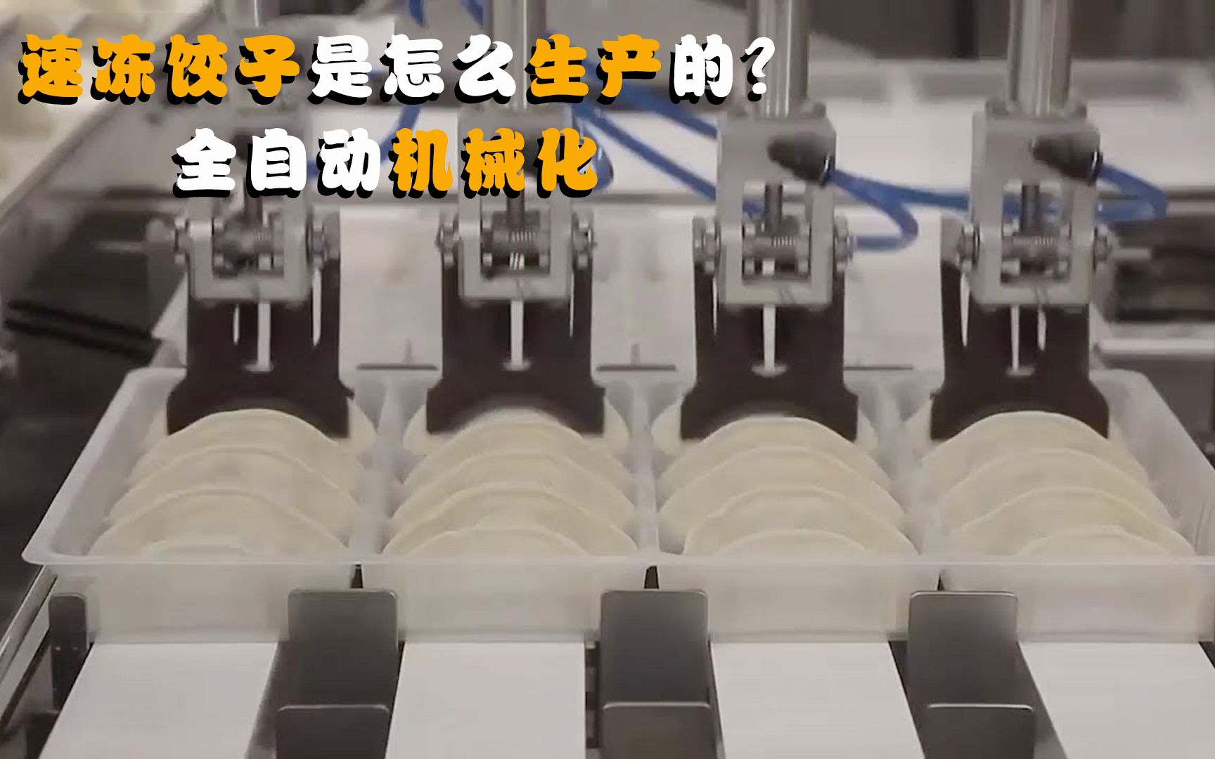 速冻饺子是怎么生产的？全自动机械化，难怪外面的饺子这么便宜