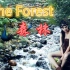 【The Forest 森林】联机生存—01-如果我的是死神DJ你会爱我吗？