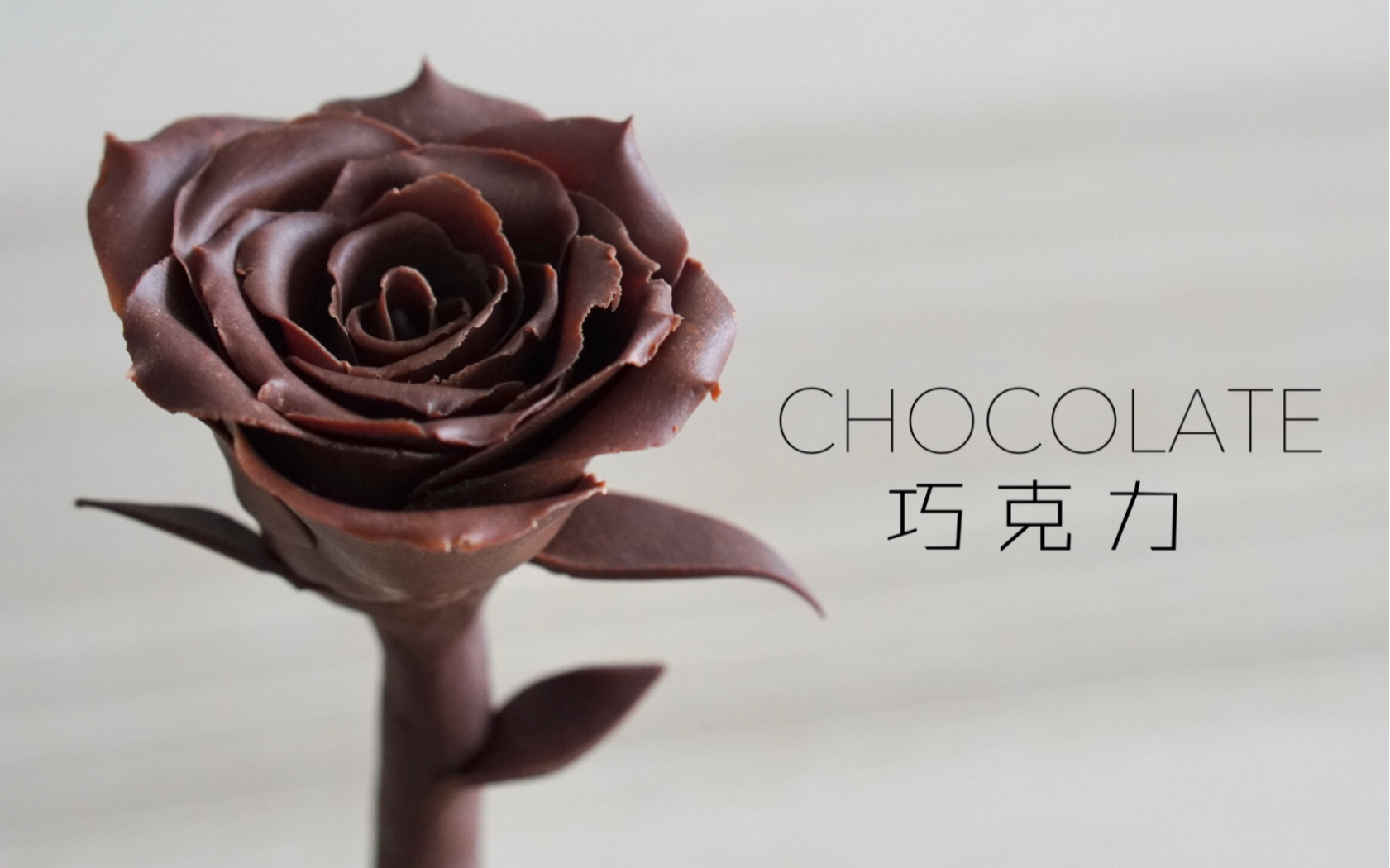 巧克力调温 ｜巧克力叶子 ｜巧克力玫瑰
