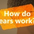 【听力学】（中英双字）耳朵是如何工作的？How do ears work?
