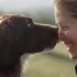 BBC高萌纪录片《狗的秘密生活》，豆瓣9.1，带你全面了解更多关于感情、信任、忠诚，狗狗的秘密。