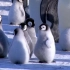 太可爱了吧！帝企鹅溜冰！！天呐，可爱化了～