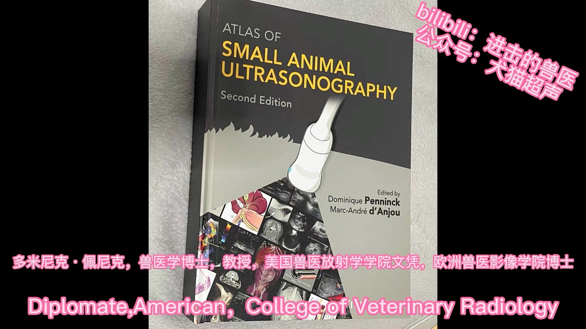 犬猫超声教学：小动物B超诊断彩色图谱2 心脏系列6 肺心病和肺动脉高压 进击的兽医