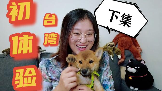 大陆媳妇在台湾生活的初体验（下集），两岸生活习惯和文化比较，繁体字 台湾身份证太强了 基建 宠物柴犬