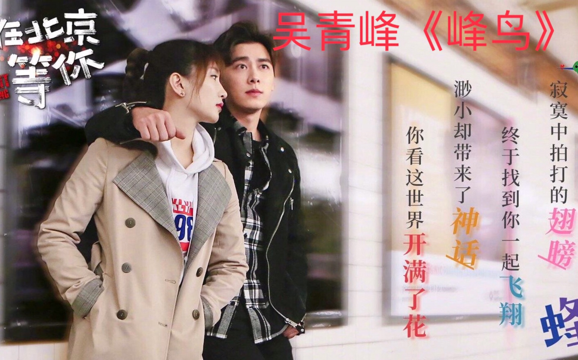 电视剧《我在北京等你全集》1-46集全在线免费观看(中